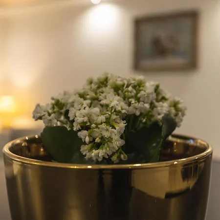 Grande Maison Des Compagnons Val-de-Reuil